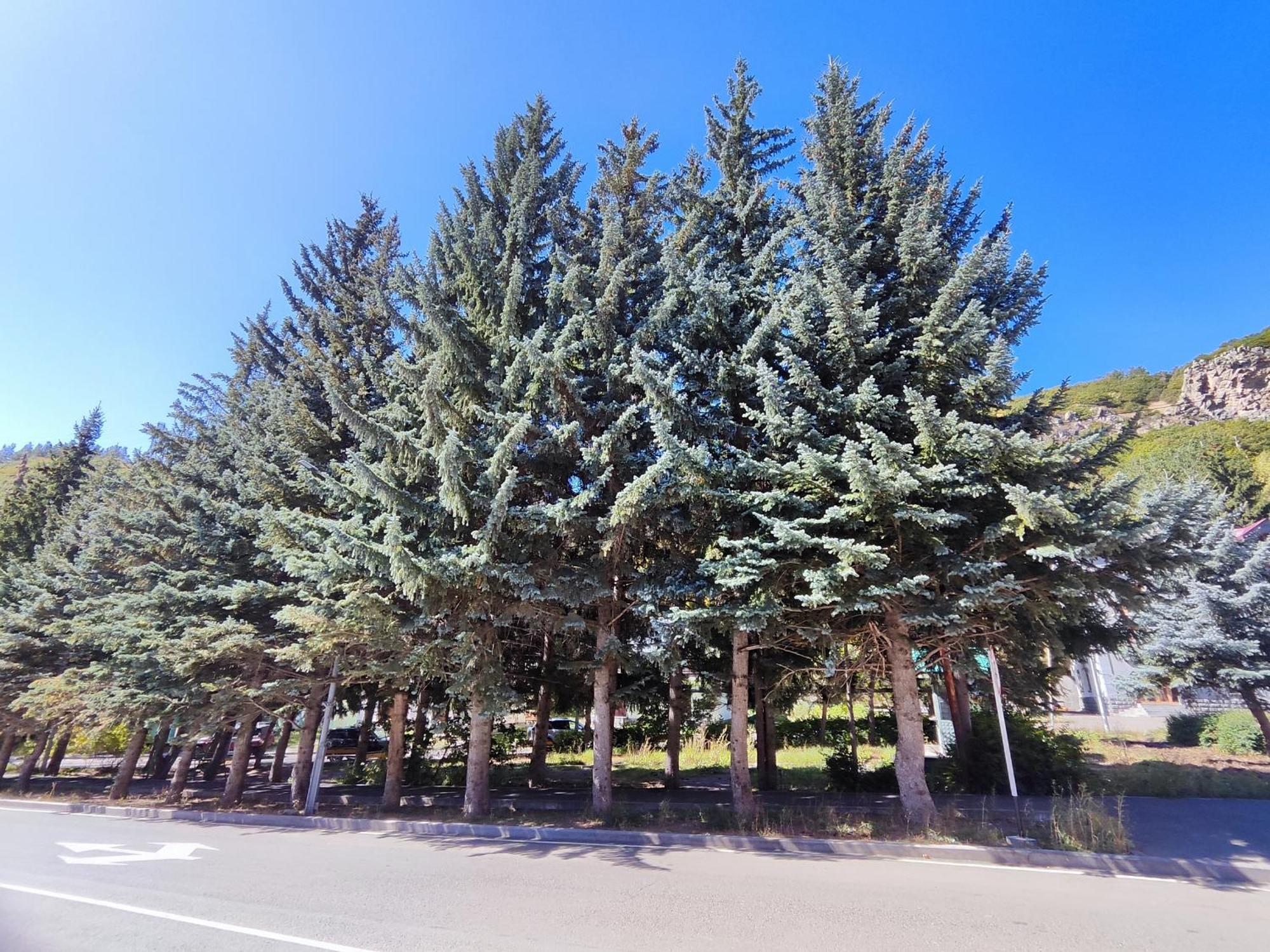 Jermuk Mini Apartment Εξωτερικό φωτογραφία